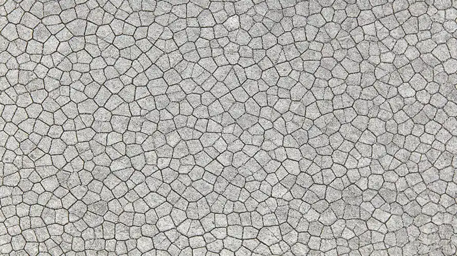 Alpha Phase Microstructure	