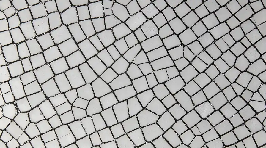  Gr1 Titanium Microstructure