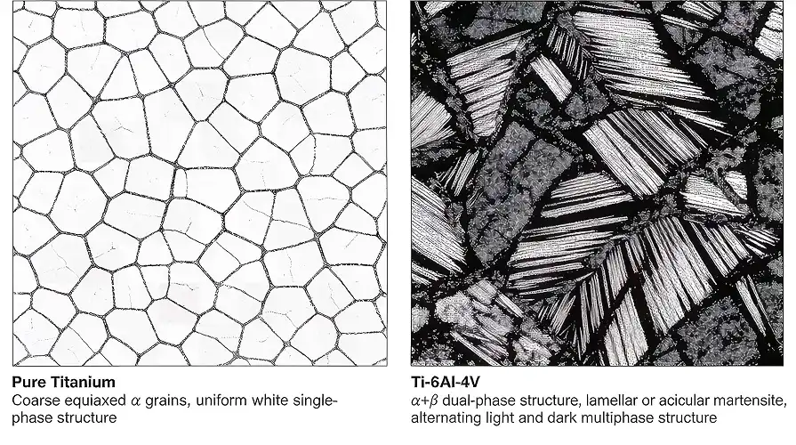 Titanium Microstructure Comparison	