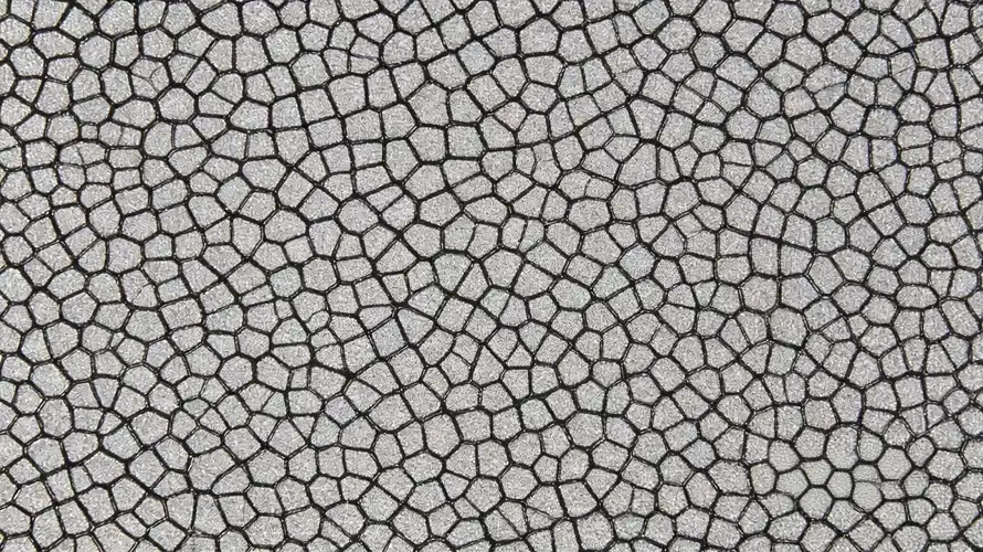 Titanium plate metallographic microstructure
